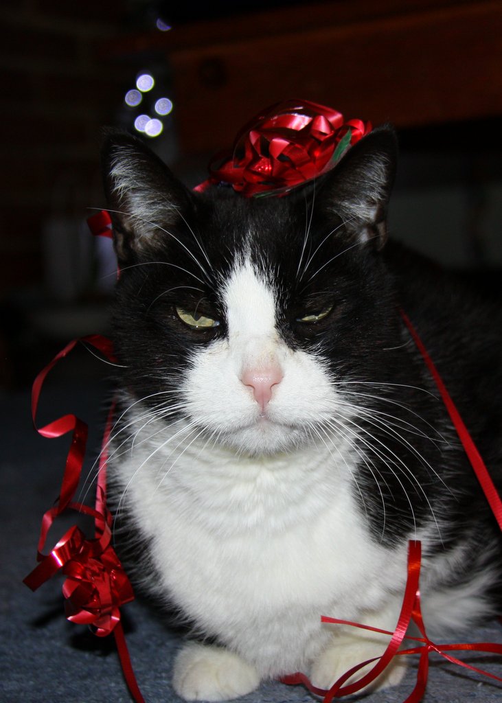 Merry Whatever, As If I Care