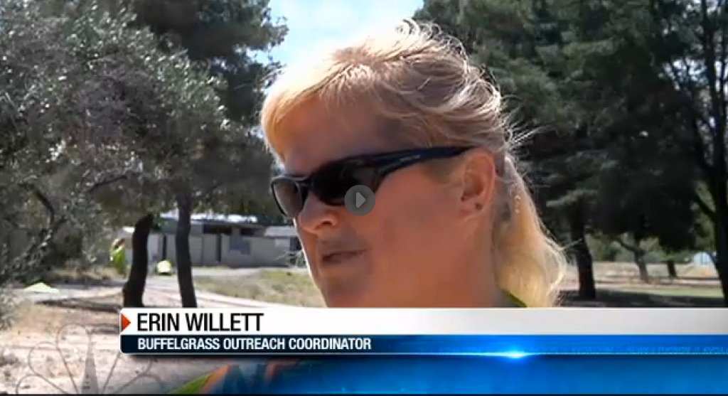 Screen shot 2015-05-03 at 2.00.28 PM