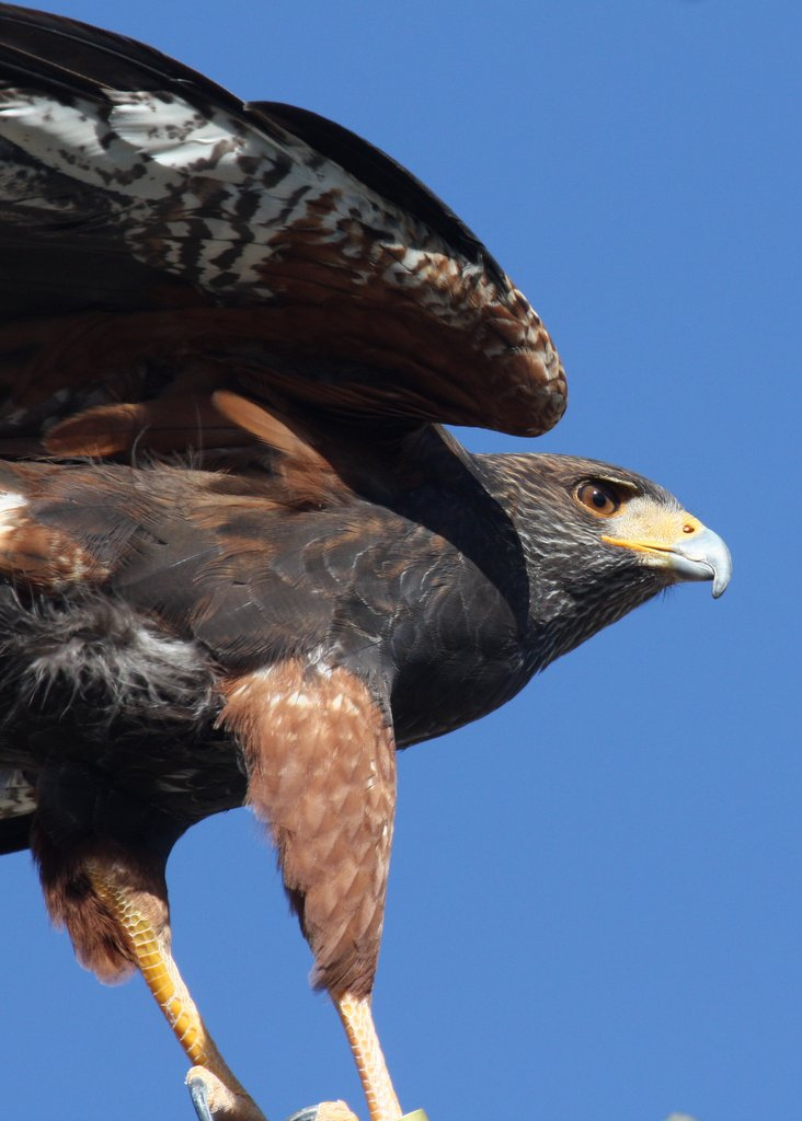 11941813723_f0804daf35_b