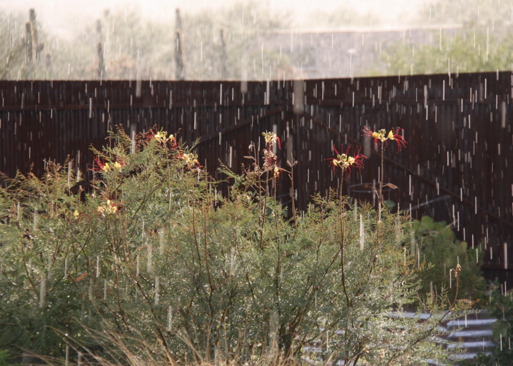 Sunshower! At least it started raining...