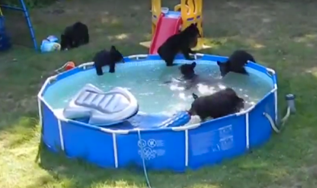 Screen shot 2015-08-21 at 10.19.02 PM