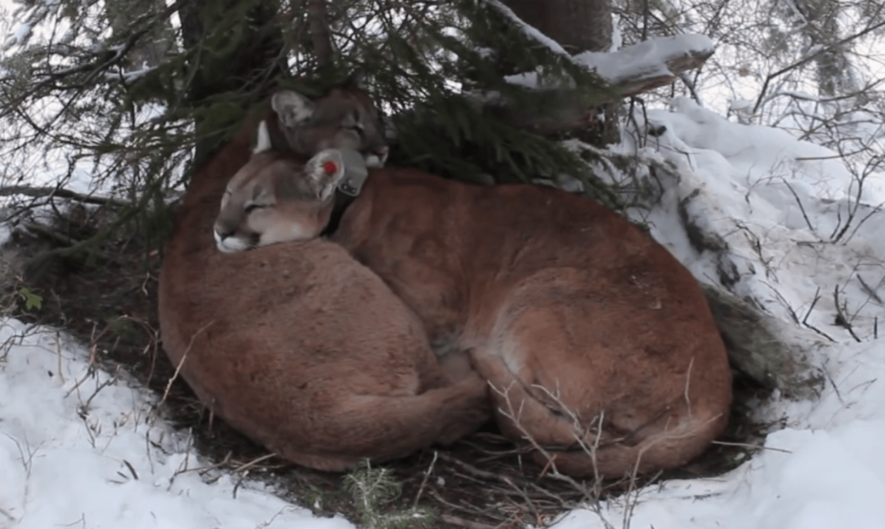 Screen shot 2016-03-02 at 9.34.17 PM