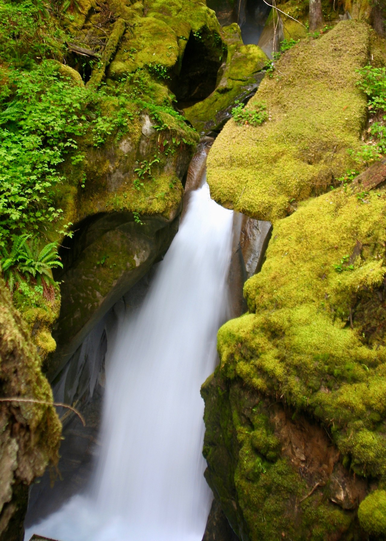 Waterfall2 Cascades NP WA 08-2008