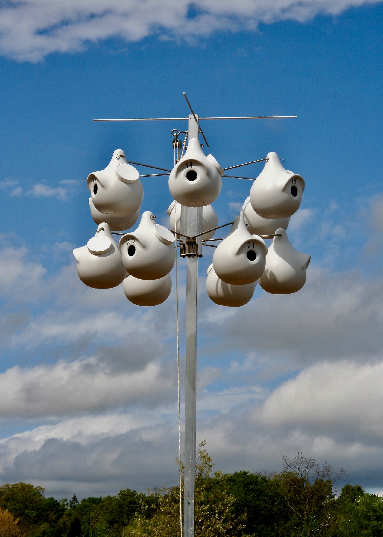 Swallow Houses Fort Smith AR 03-2007