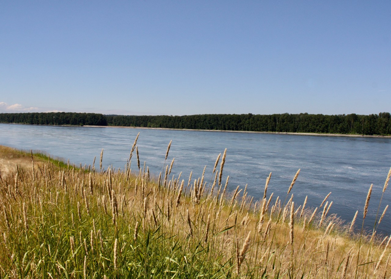 Columbia River View
