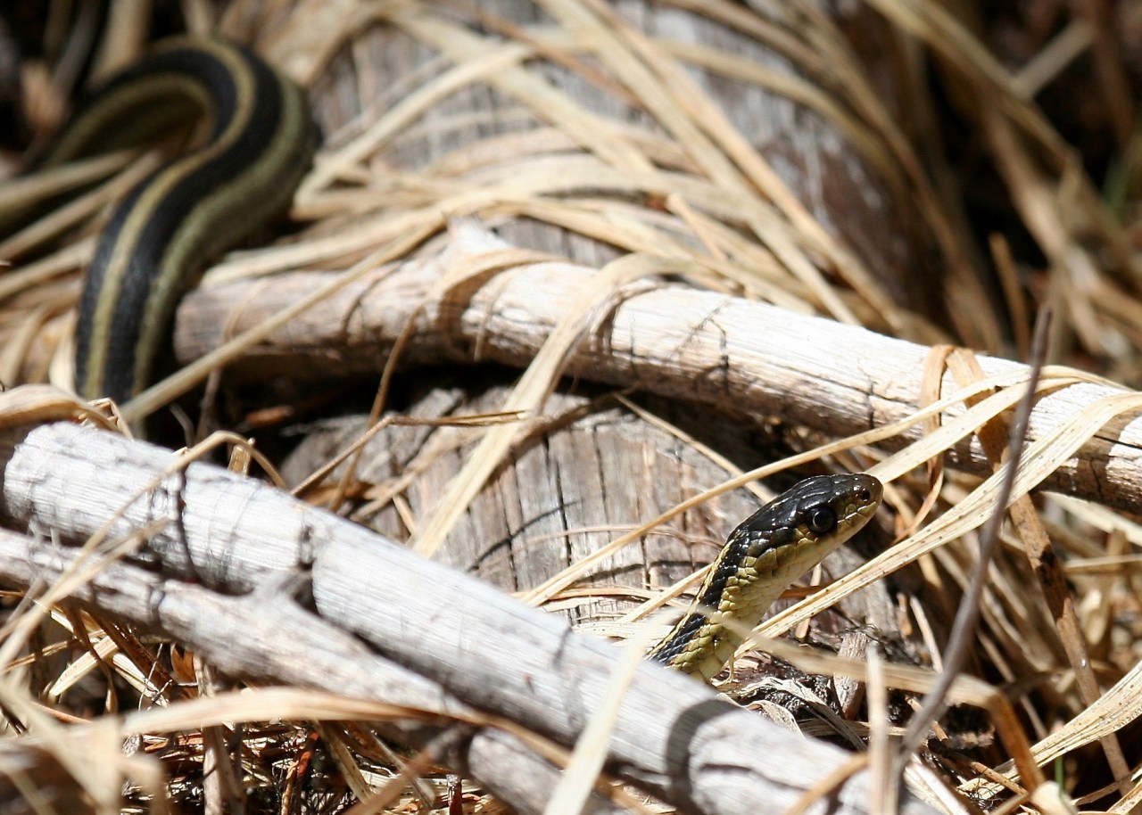 Snake8 Cascade Lakes Byway 05-2008