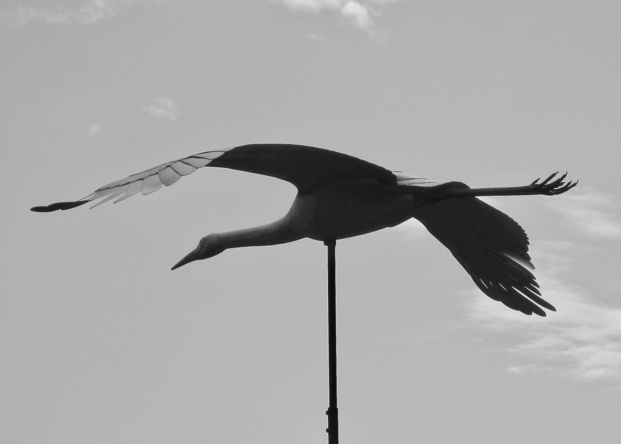 Whooping Crane Sculpture ICF WI 08-2009