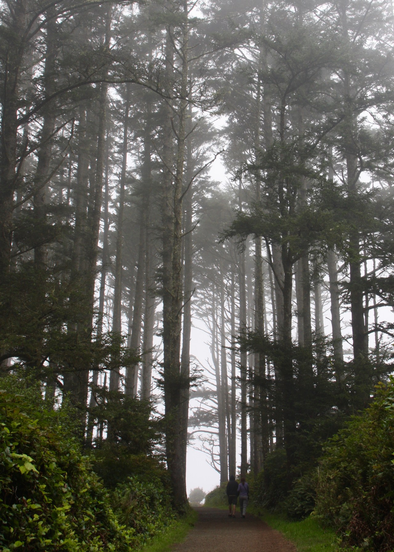 Trail Long Beach WA 09-2013