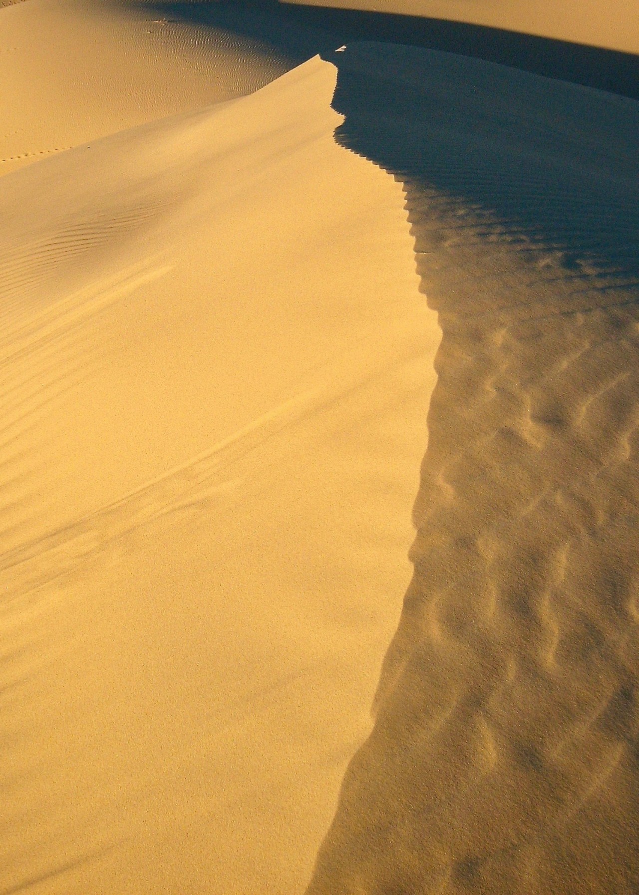 Dune Monahans Sandhills SP TX 10-2007