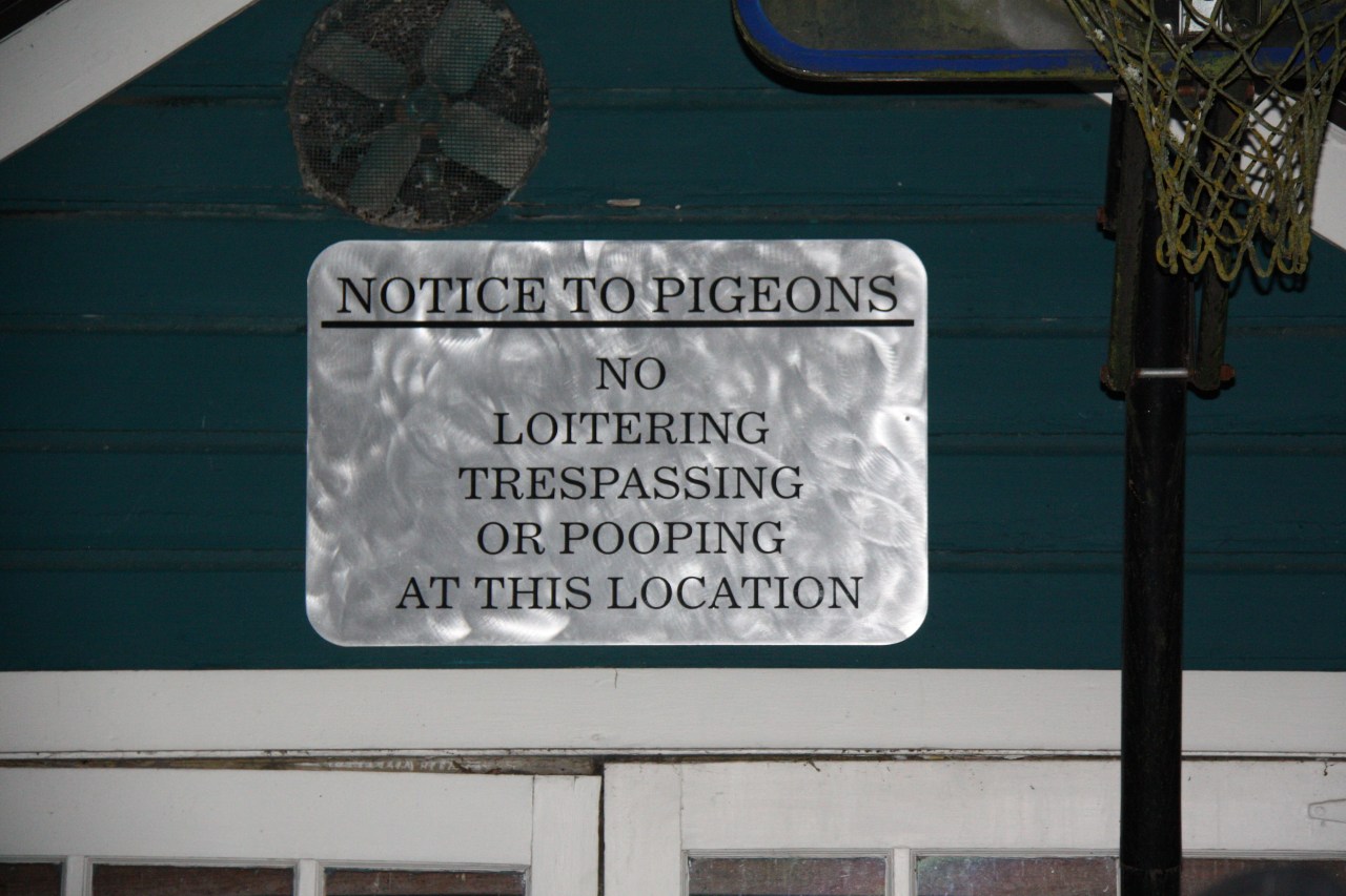 Notice to Pigeons
