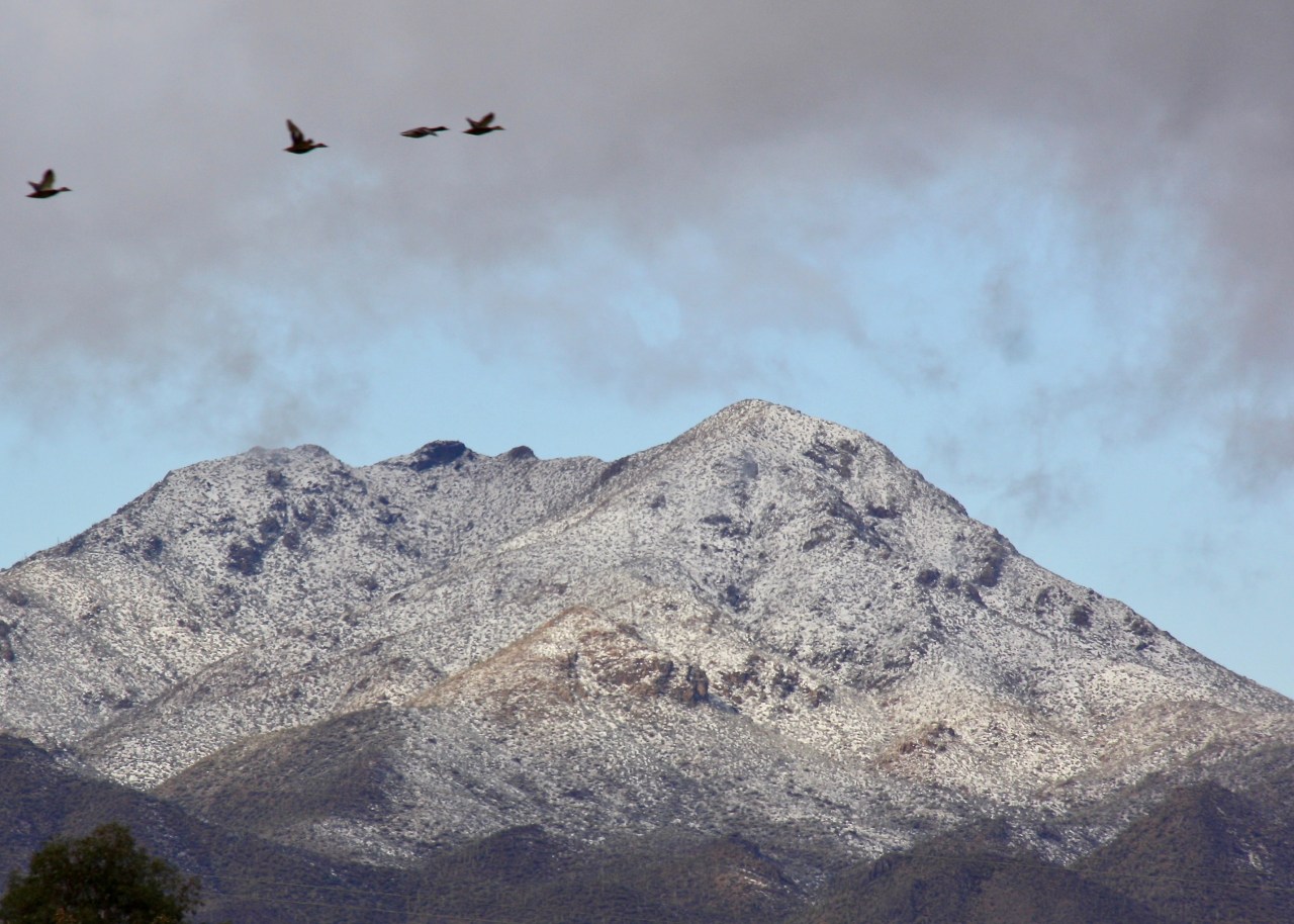 Snow on the Tucson Mountains