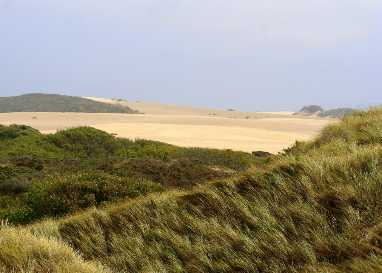Santa Maria Coast CA 04-2008