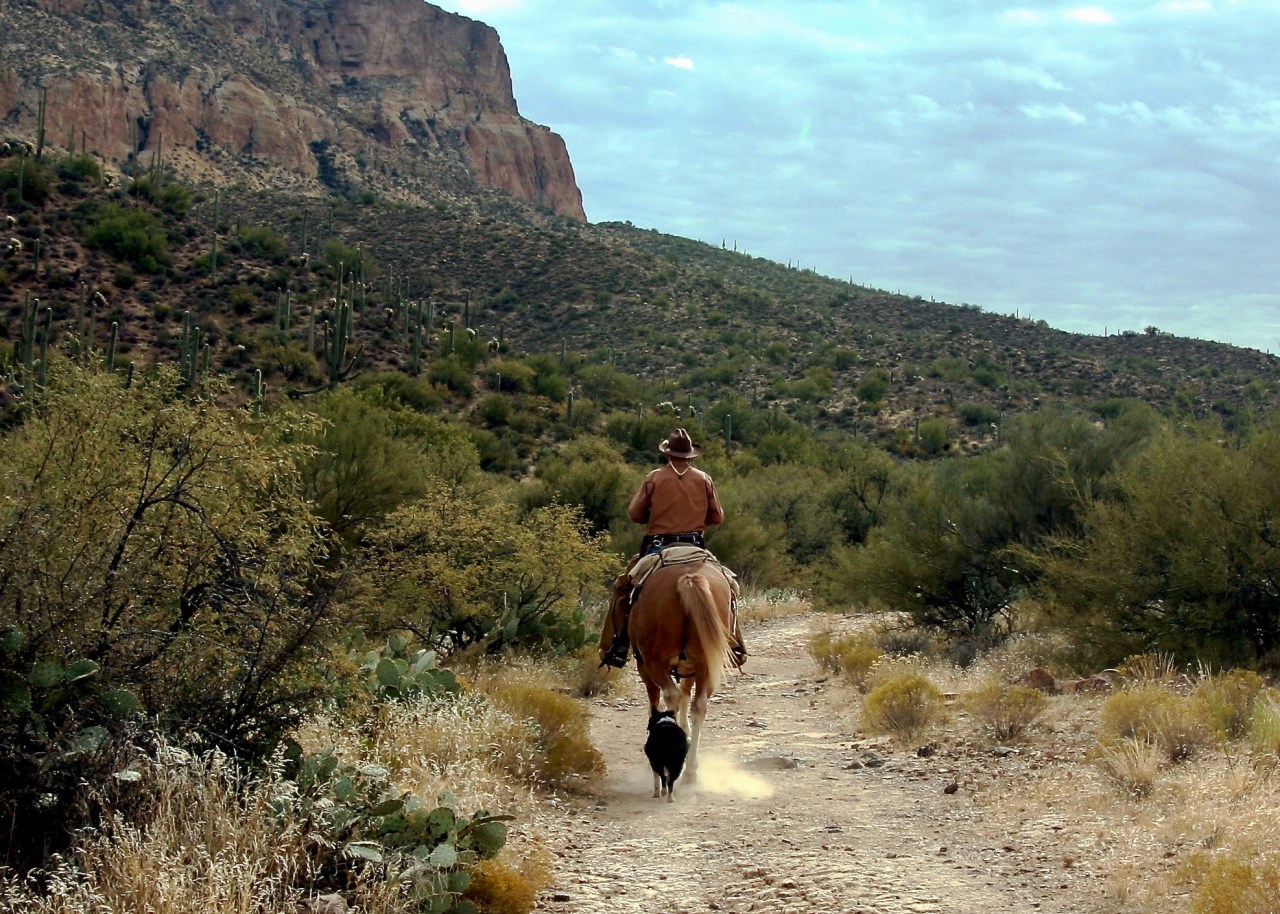 AZ Trail Rider 12-2005